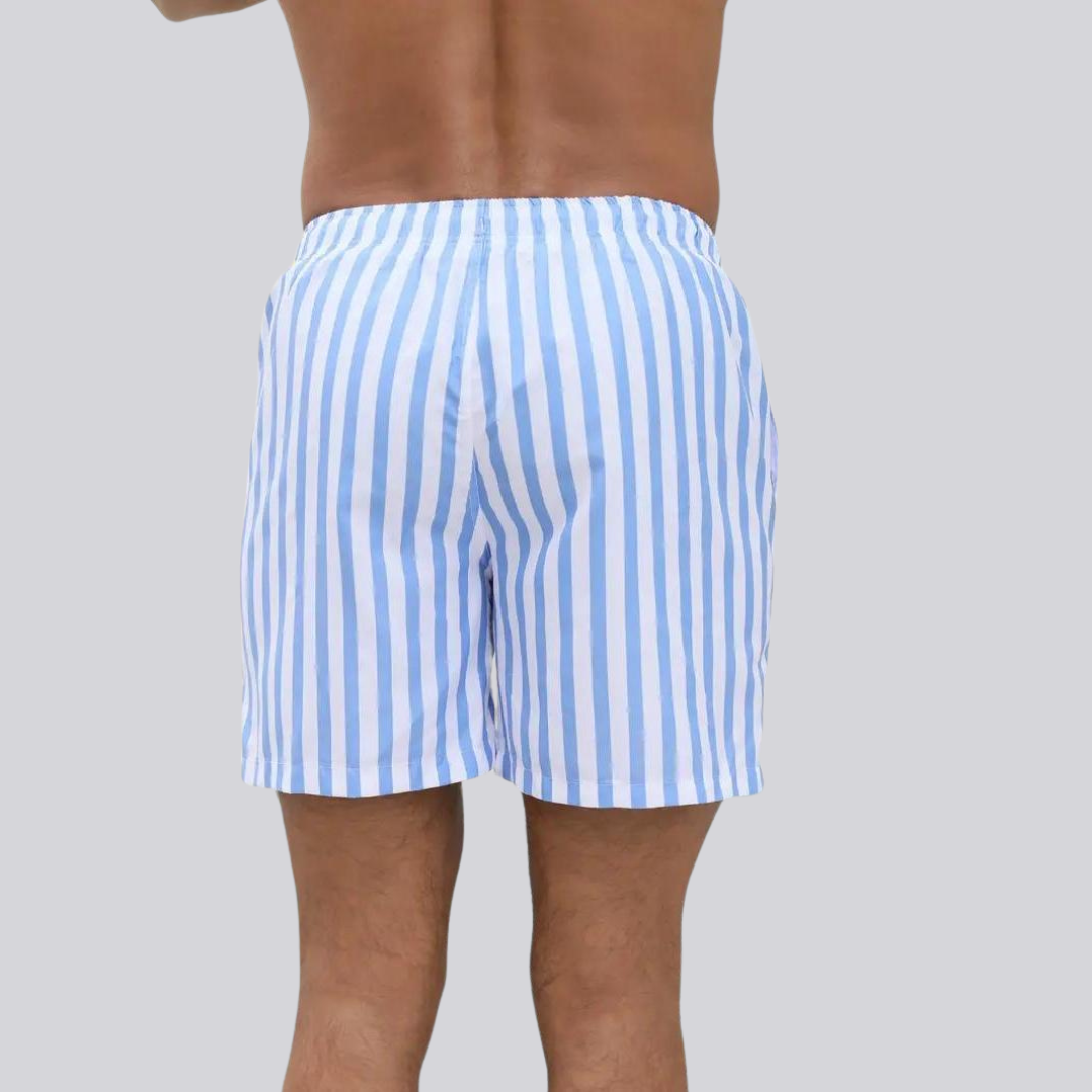 Men's Vertical Stripe Swim Shorts