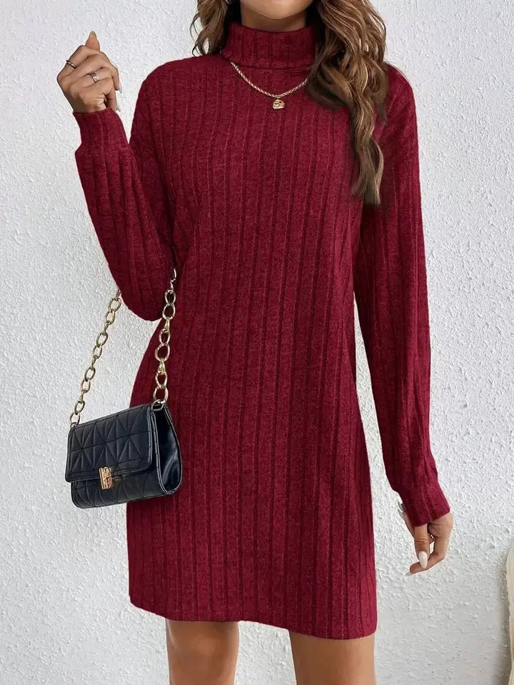 Women's Ribbed Knit Turtleneck Dress
