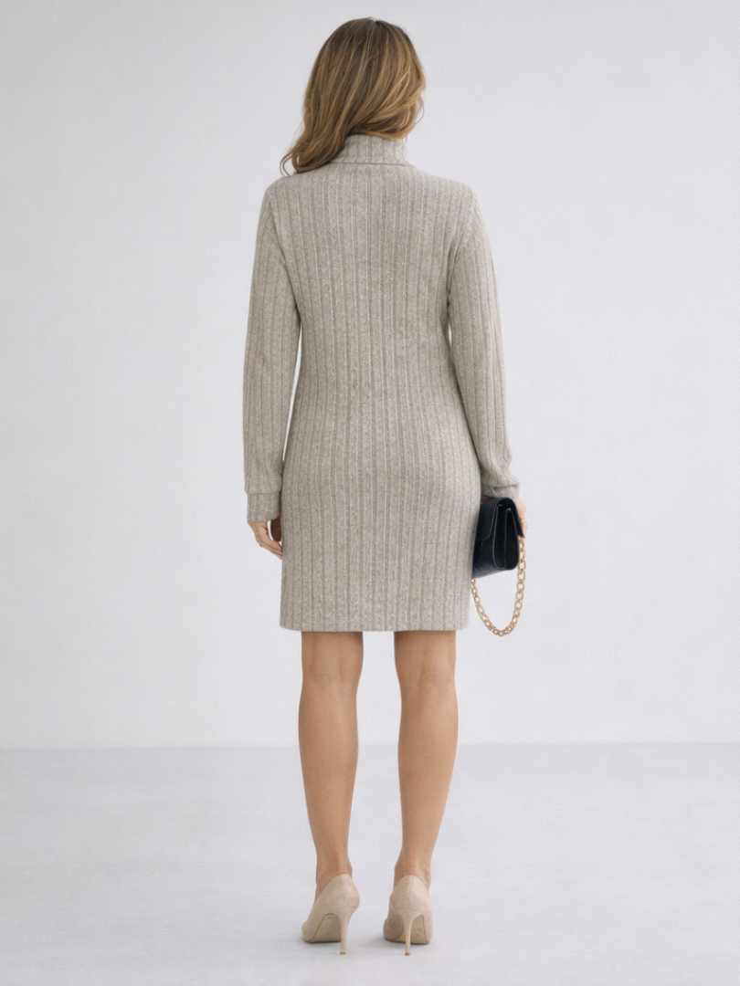Women's Ribbed Knit Turtleneck Dress